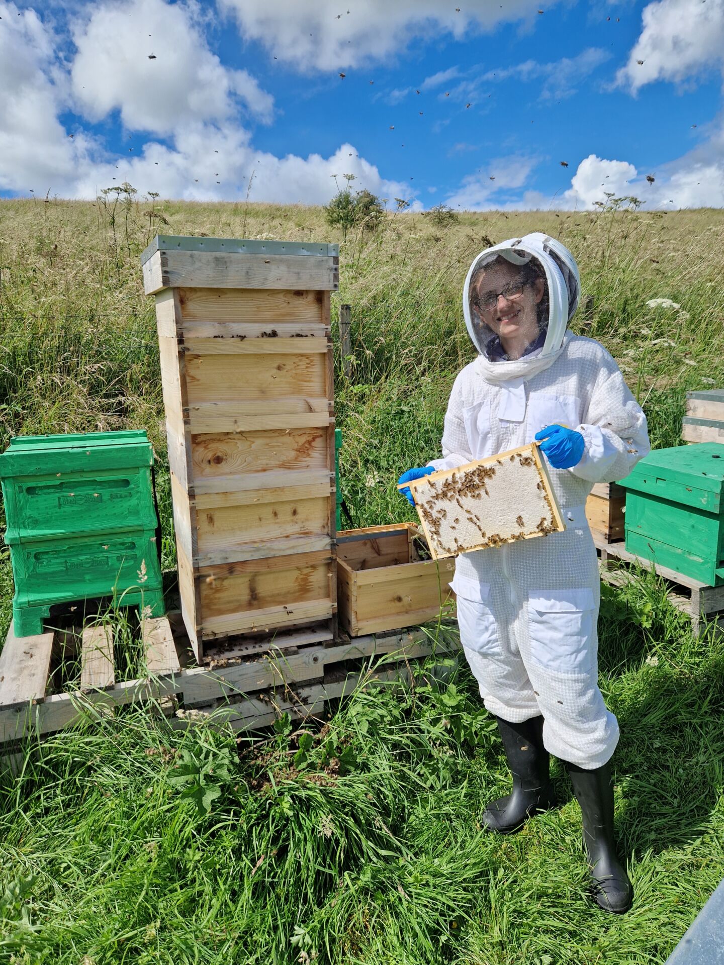 Aylin of Queens and Bees Aylin of Queens and Bees